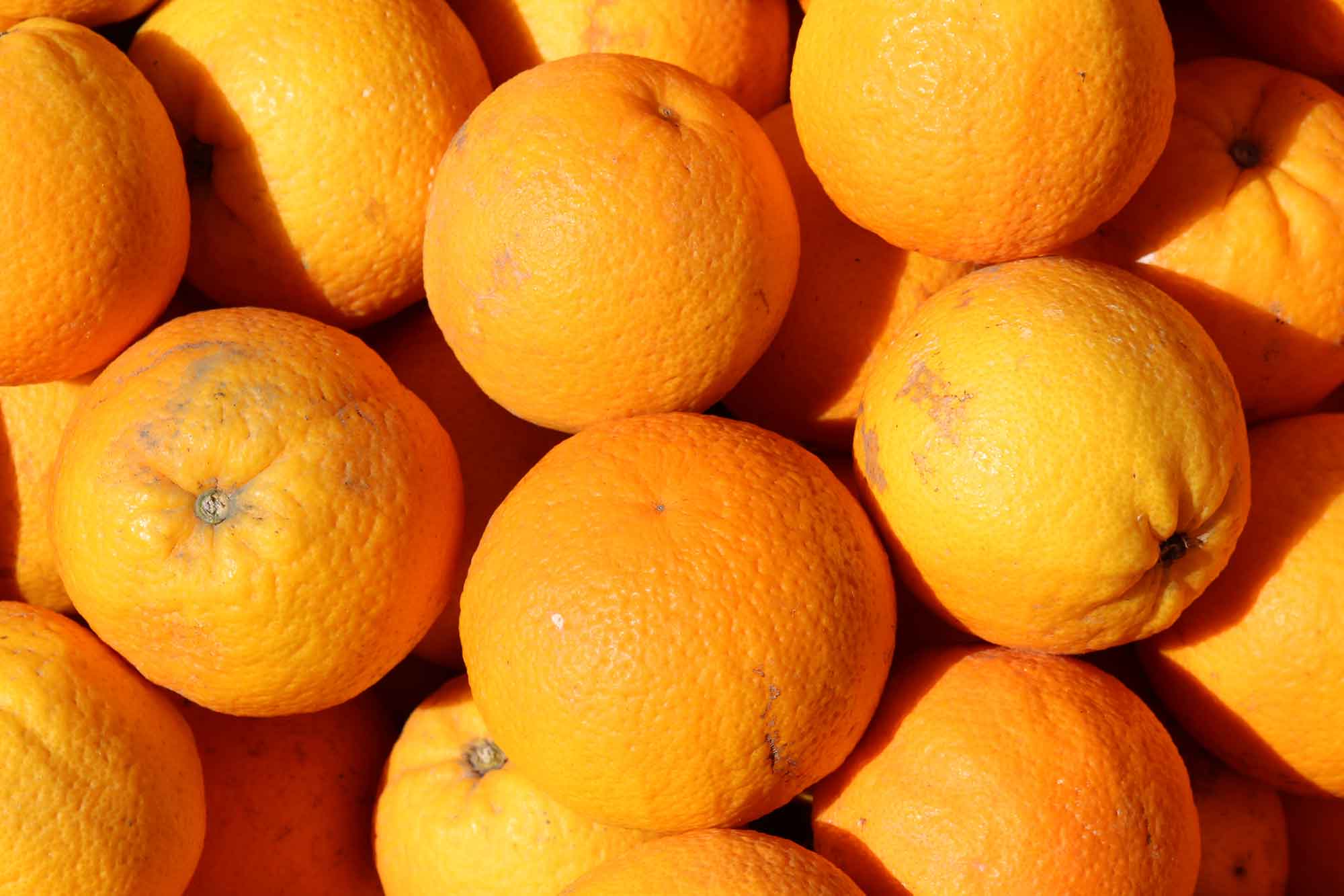 Spray-free New Zealand grown oranges